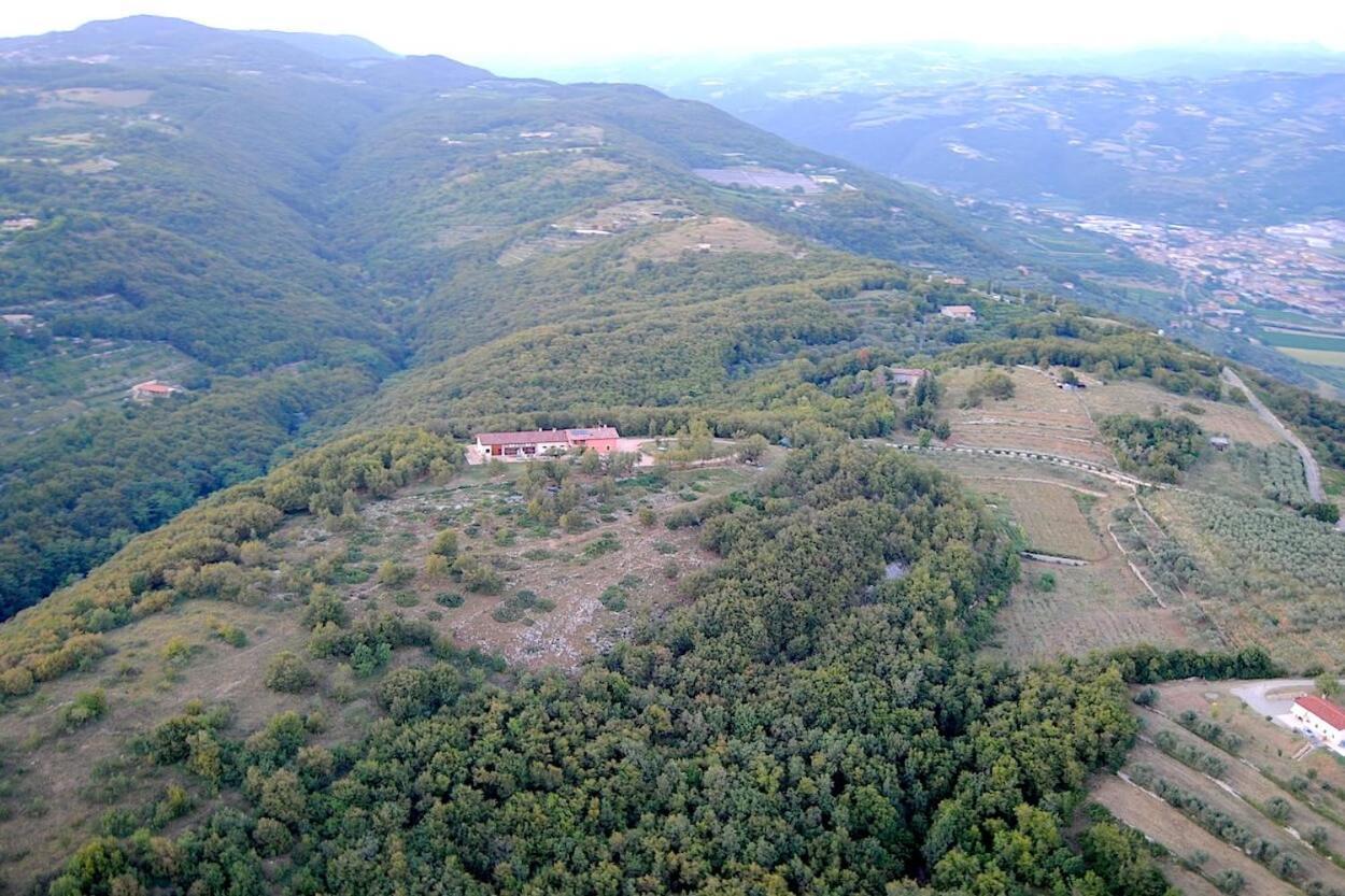 Agriturismo Il Porcellino Quinto di Valpantena エクステリア 写真